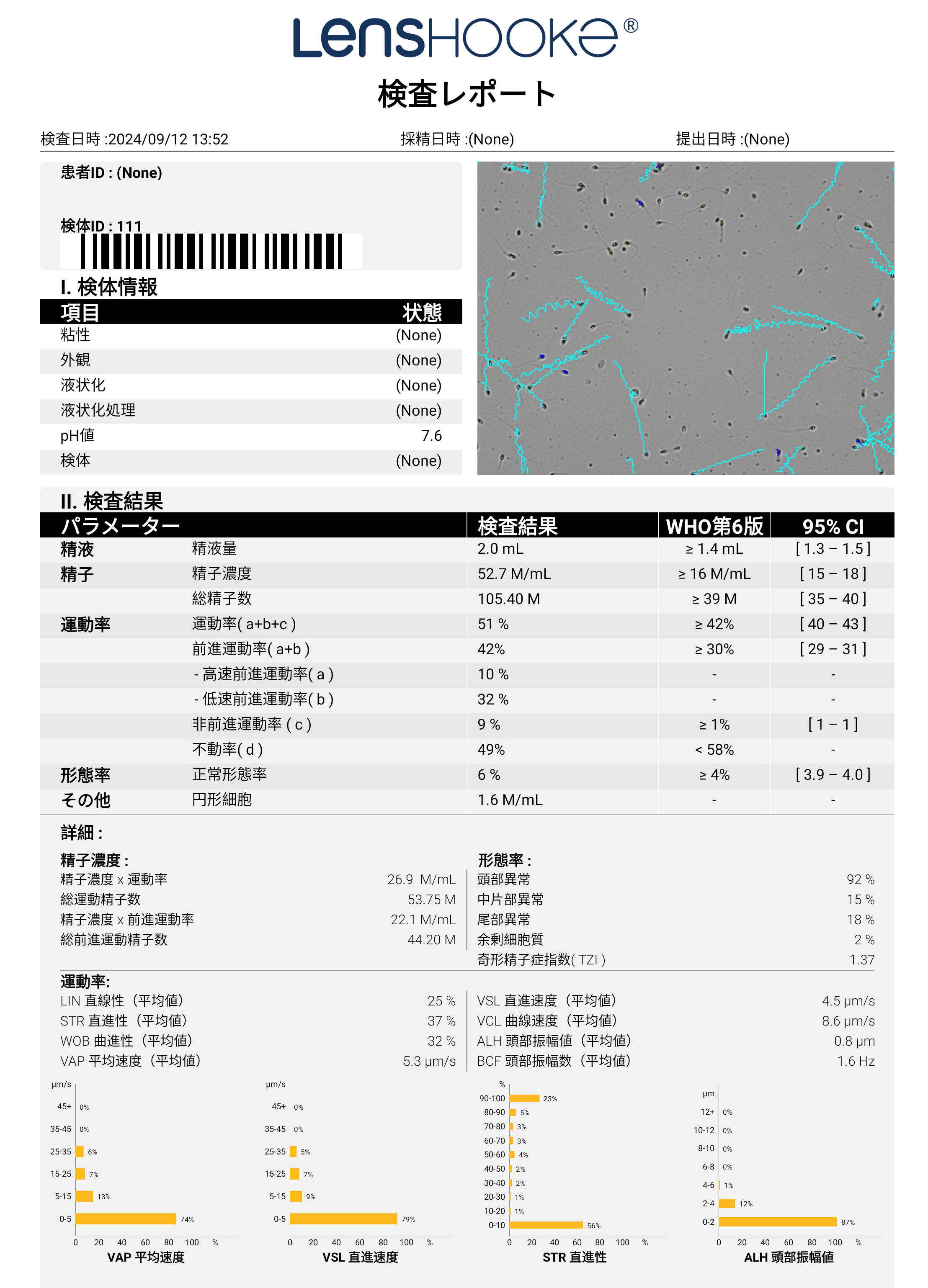 検査レポート例